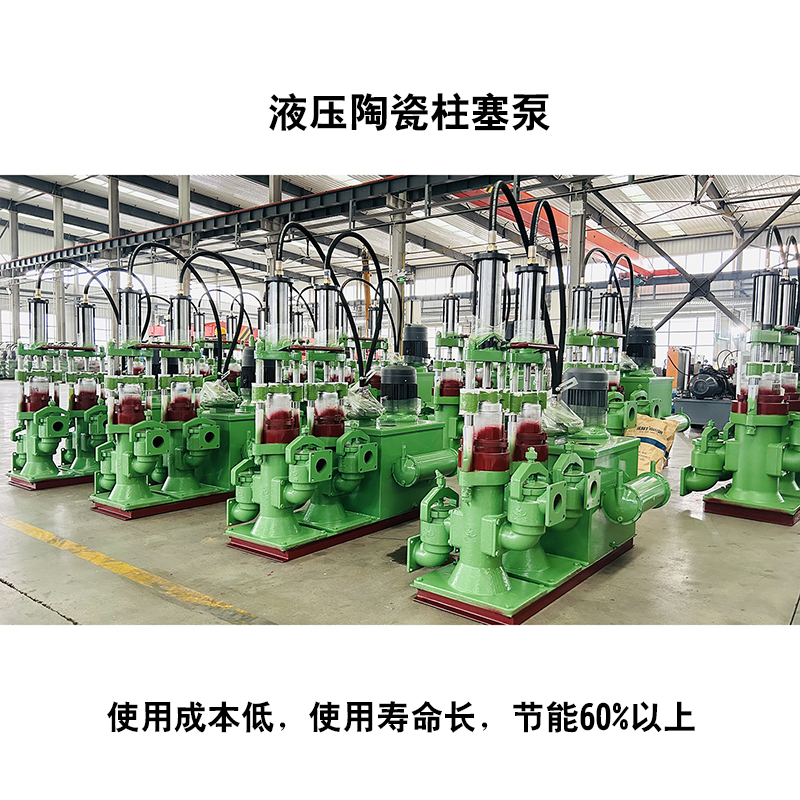 液壓驅動(dòng)污泥柱塞泵