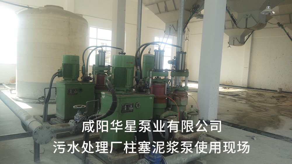 湖北仙桃污水處理廠(chǎng)2-水印